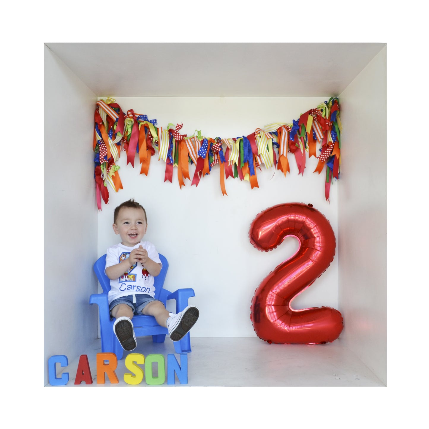 Sesame Street Birthday Theme Session