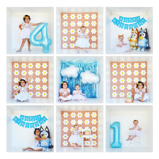 Birthday Session: Bluey & Bingo Theme