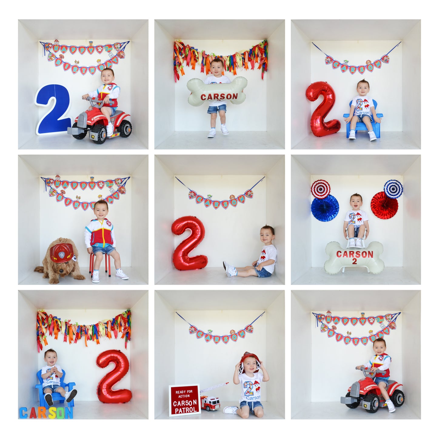 Paw Patrol Theme Birthday Session